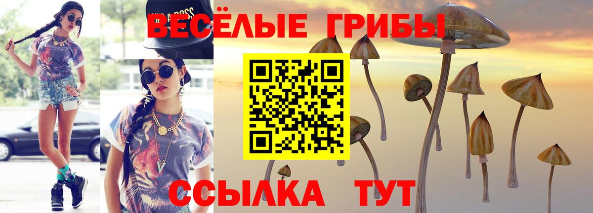 Нововоронеж  продажа наркотиков  Вход с VPN  Галлюциногенные грибы Magic Shrooms  Галлюциногенные грибы MAGIC MUSHROOMS 