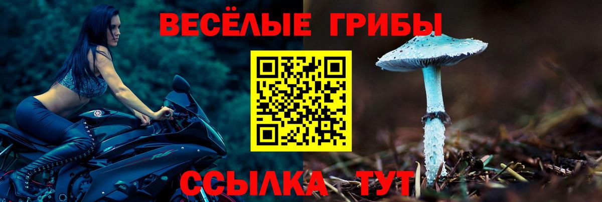 Галлюциногенные грибы Magic Shrooms Нововоронеж